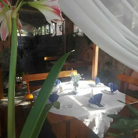 Captain Niko Apartment *